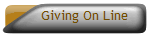 Giving On Line