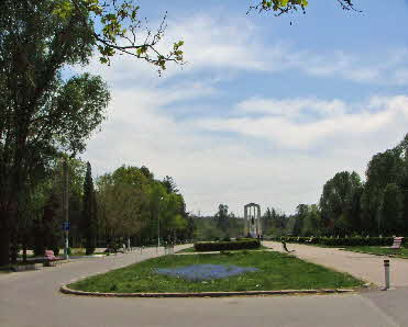 DSCF2483